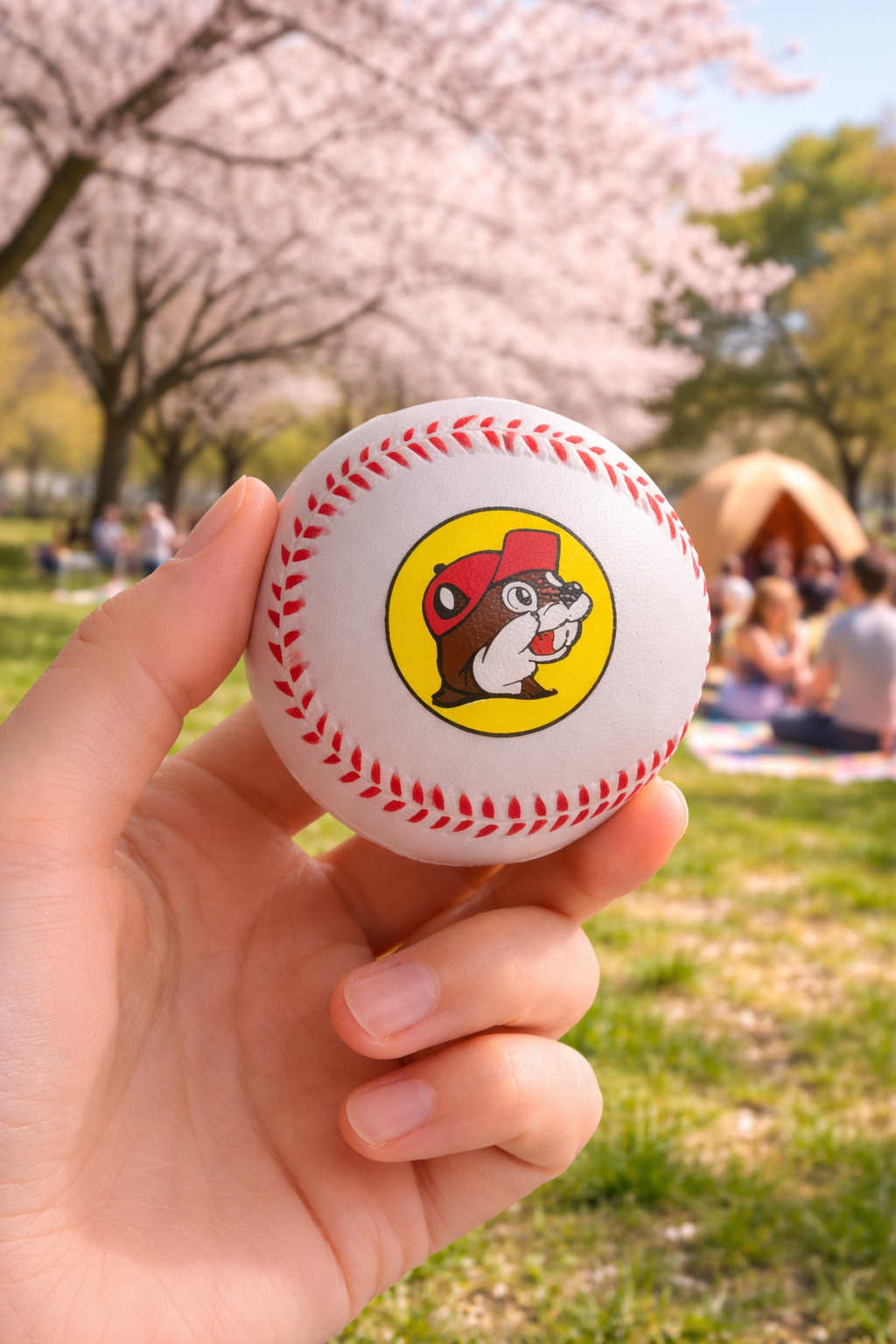 バッキーズ やわらかスポンジ野球ボール