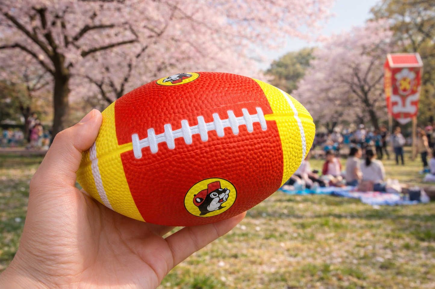 バッキーズ やわらかスポンジラグビーボール 